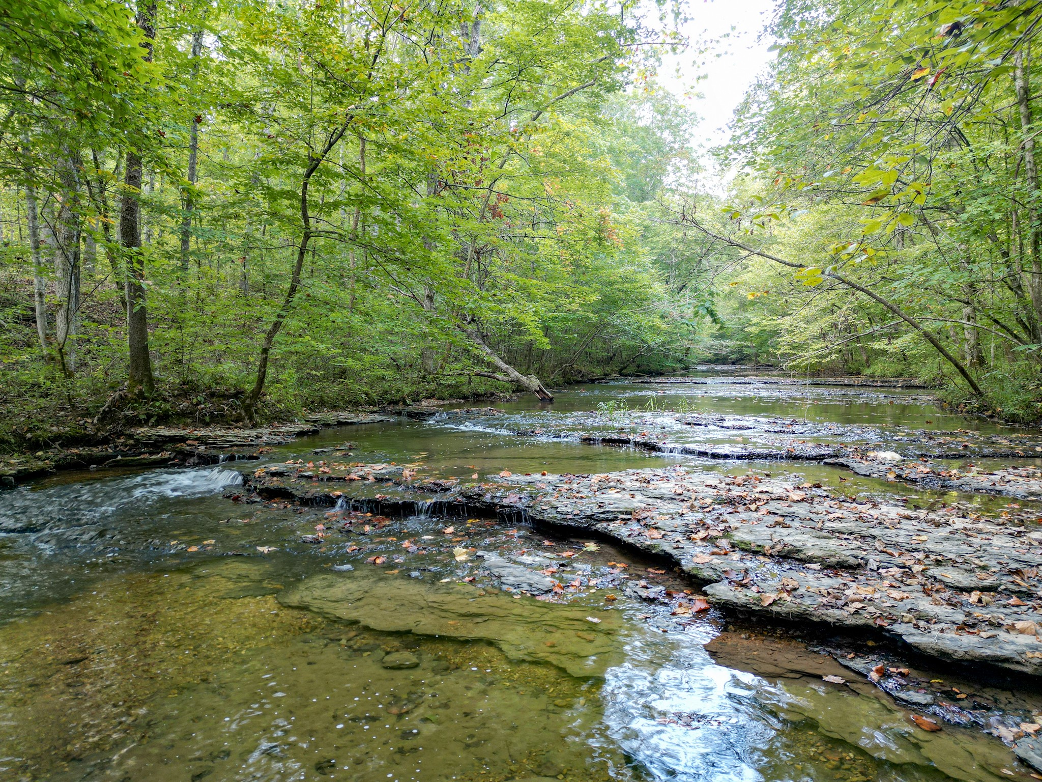 1 Ccc Road Fairview TN 37062