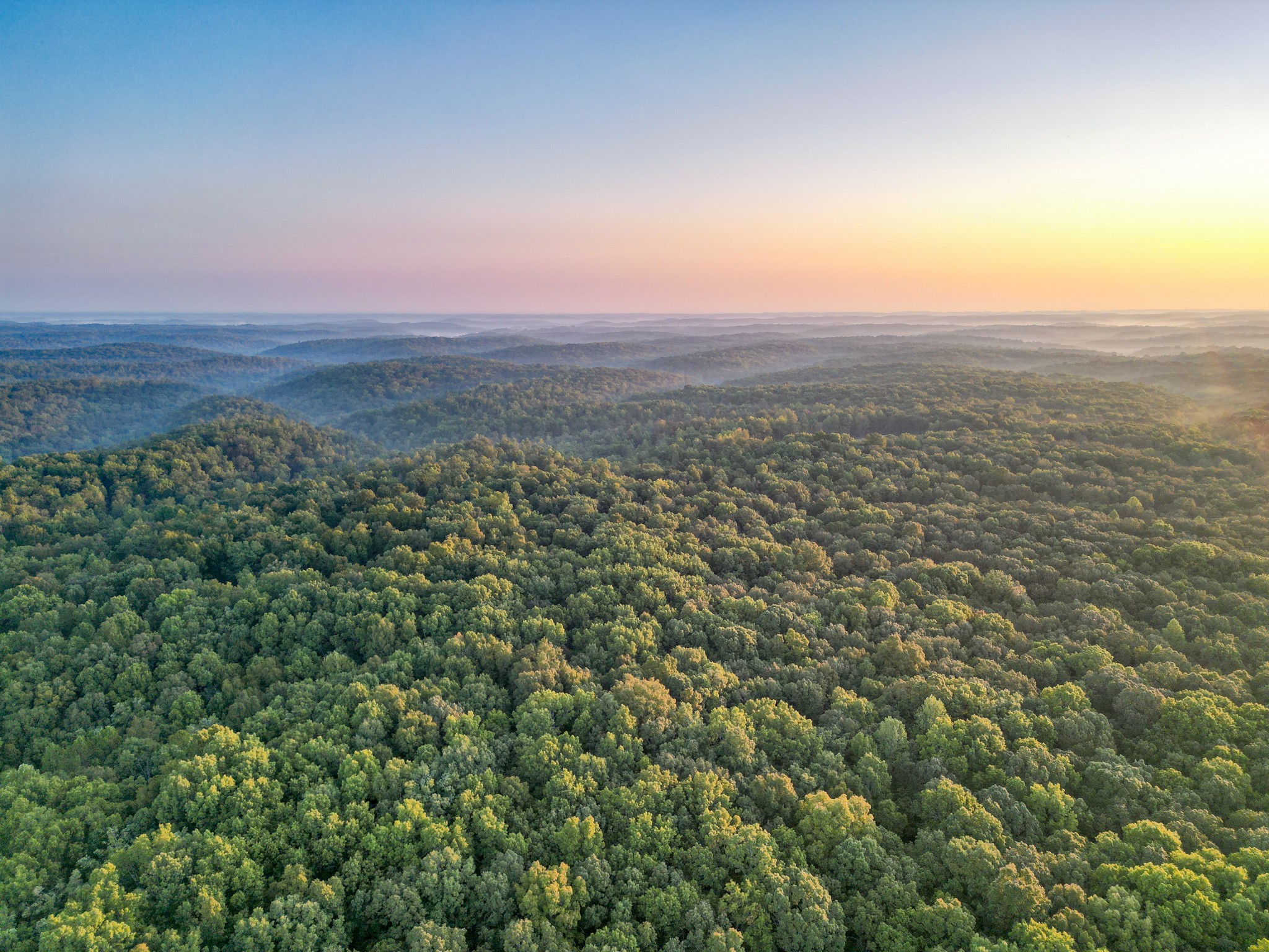 1 Ccc Road Fairview TN 37062