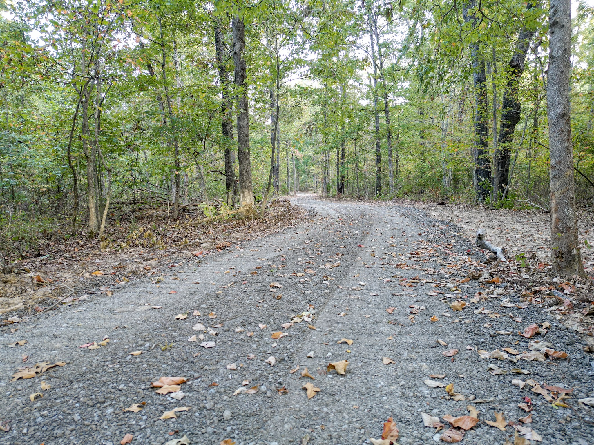 1 Ccc Road Fairview TN 37062