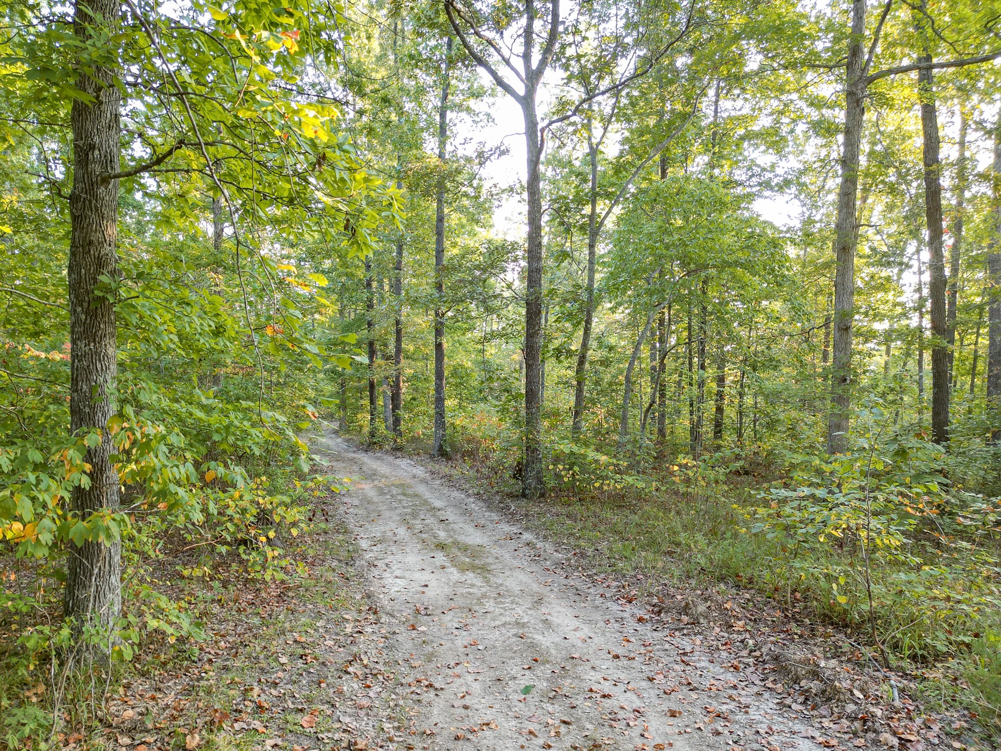 1 Ccc Road Fairview TN 37062