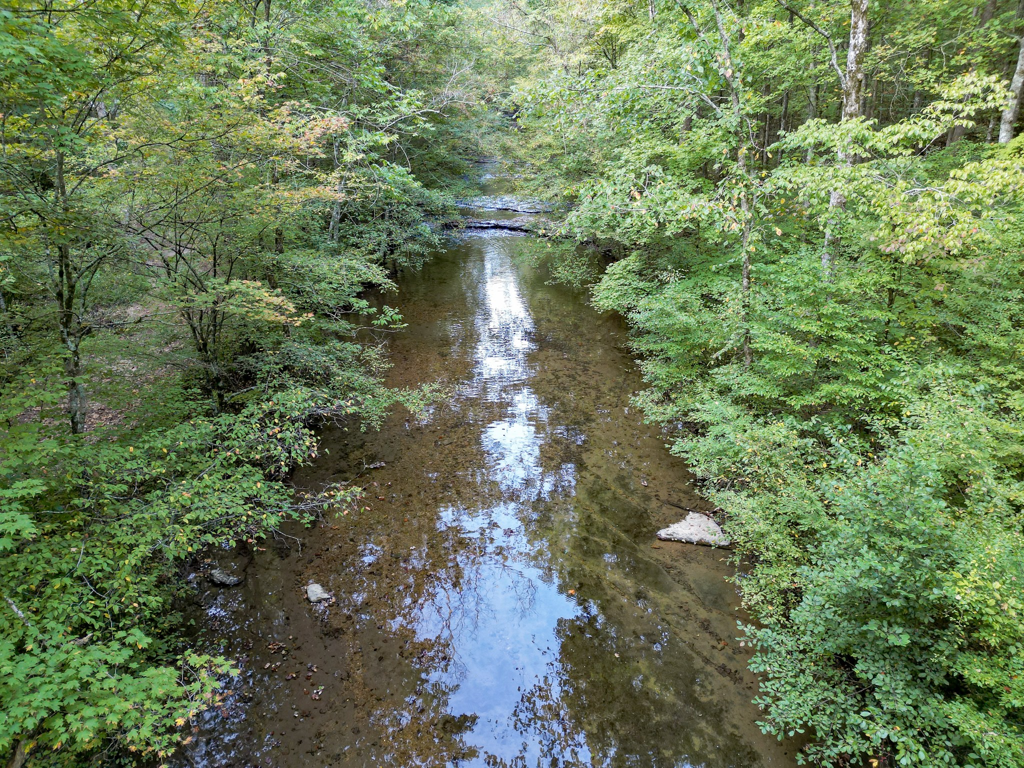 1 Ccc Road Fairview TN 37062