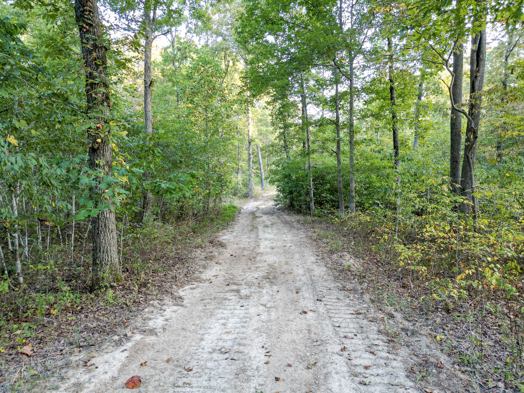 1 Ccc Road Fairview TN 37062