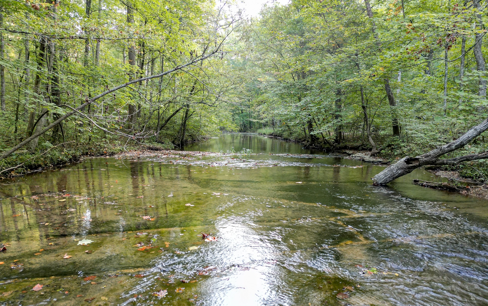 1 Ccc Road Fairview TN 37062