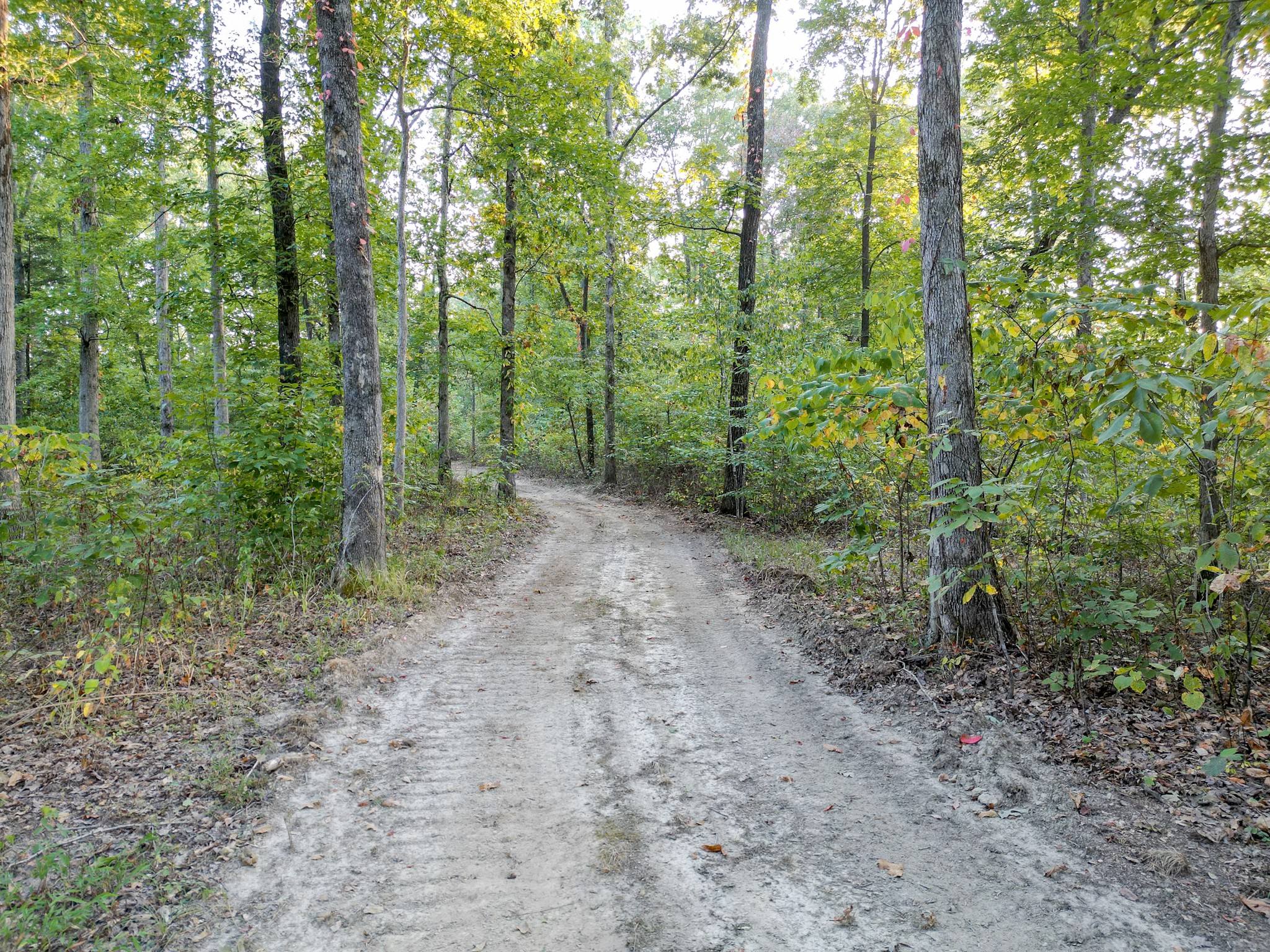 1 Ccc Road Fairview TN 37062