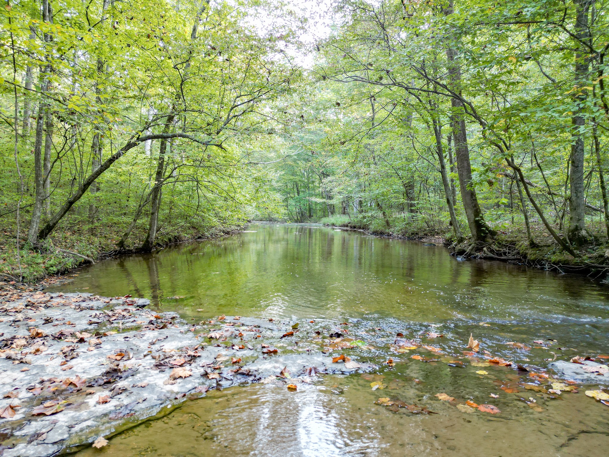 1 Ccc Road Fairview TN 37062