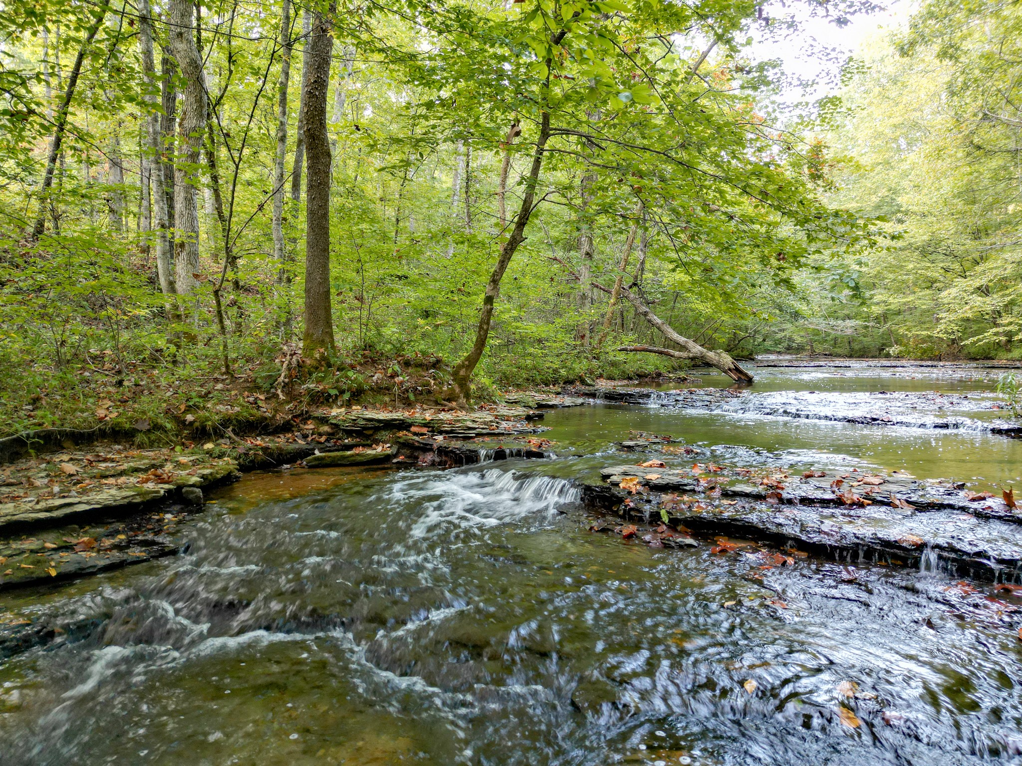 1 Ccc Road Fairview TN 37062