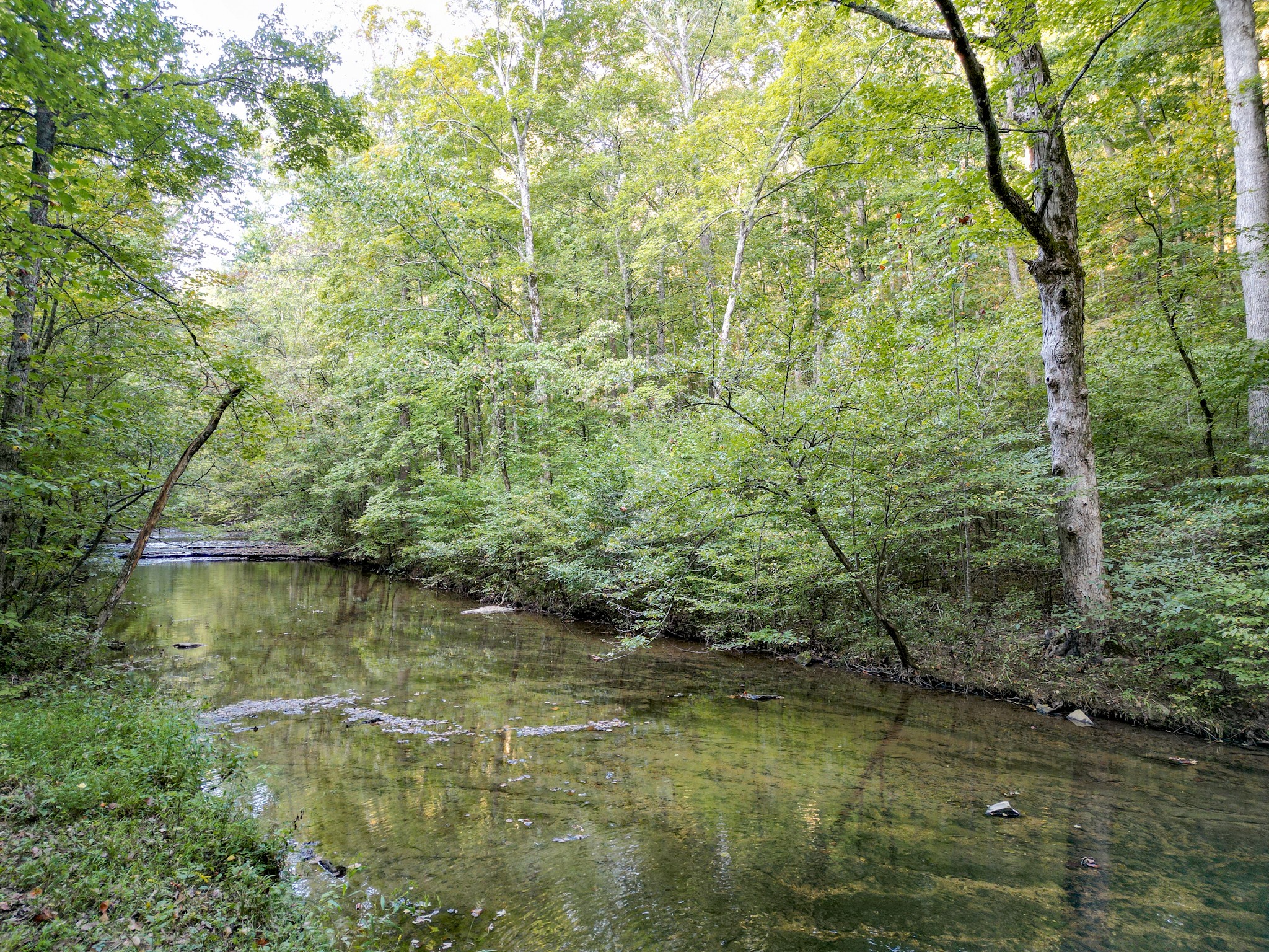 1 Ccc Road Fairview TN 37062