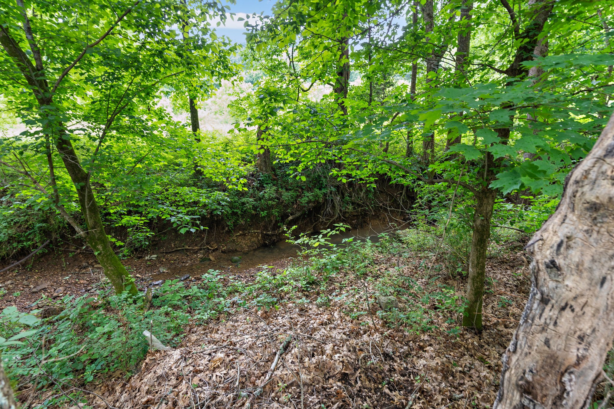 1780 Molly Hollow Road Nolensville TN 37135