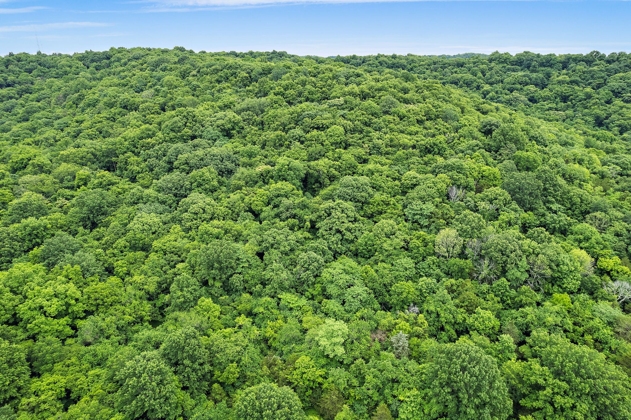 1780 Molly Hollow Road Nolensville TN 37135