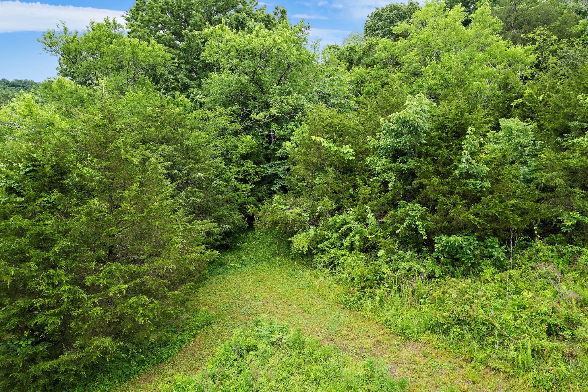 1780 Molly Hollow Road Nolensville TN 37135