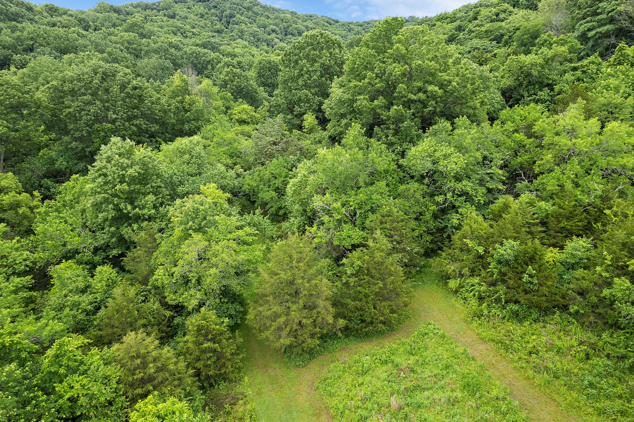 1780 Molly Hollow Road Nolensville TN 37135
