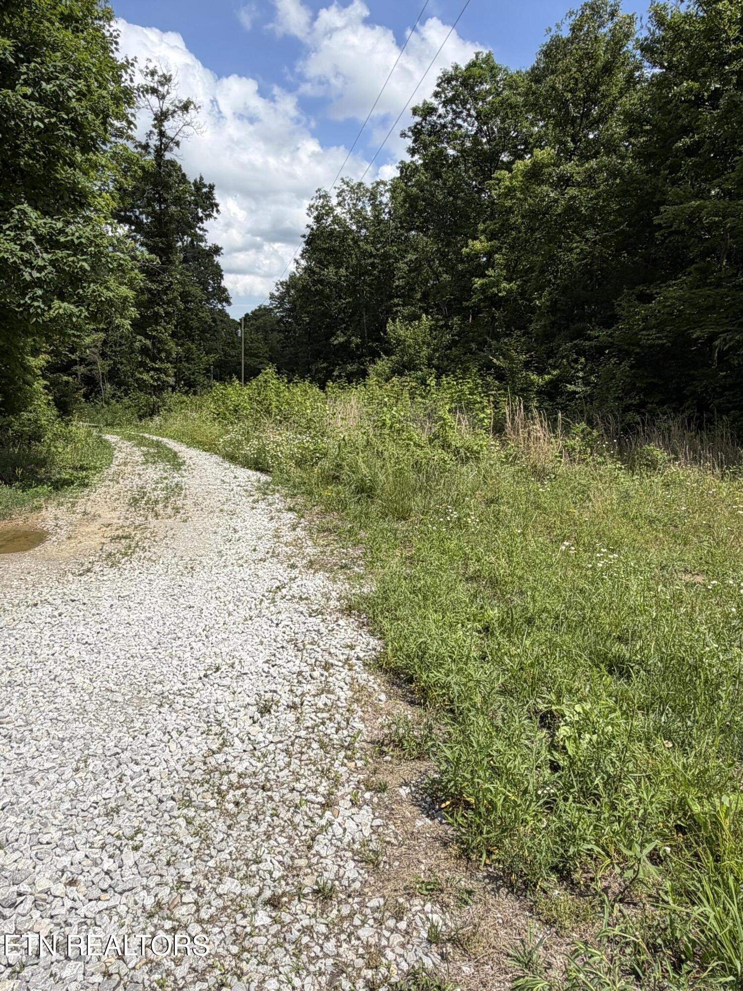 768 Remington Road Jamestown TN 38556