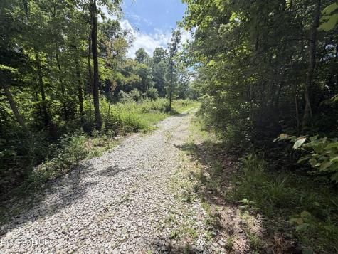 768 Remington Road Jamestown TN 38556