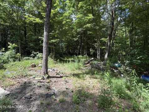 768 Remington Road Jamestown TN 38556