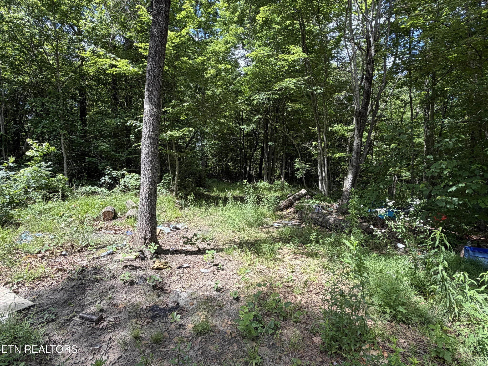 768 Remington Road Jamestown TN 38556