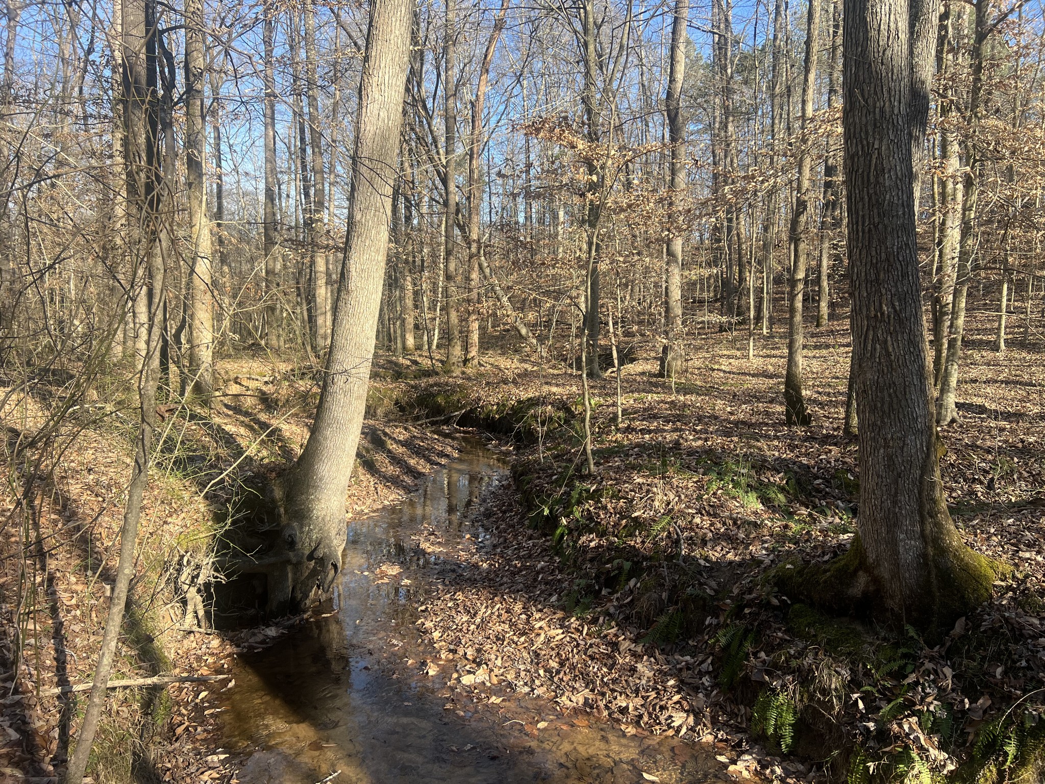 0 Excalibur Trail Cedar Grove TN 38321