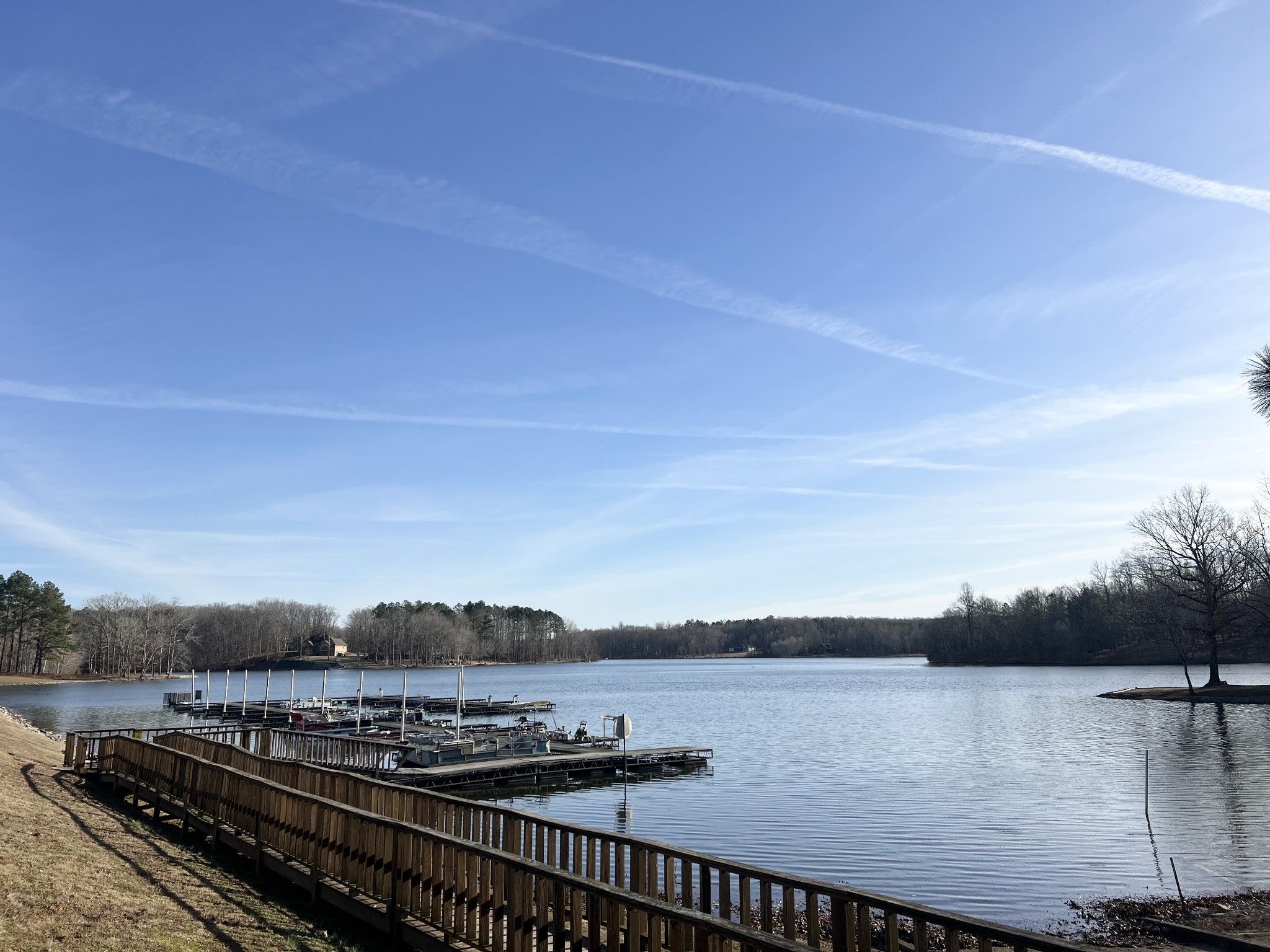 0 Excalibur Trail Cedar Grove TN 38321