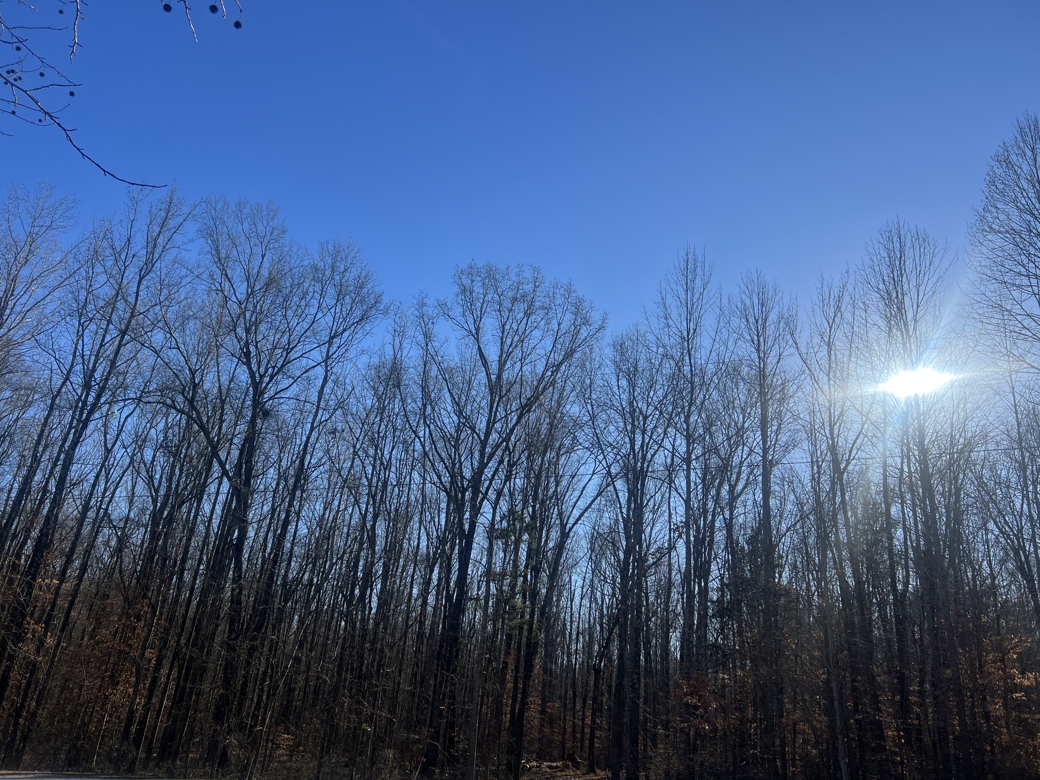 0 Excalibur Trail Cedar Grove TN 38321