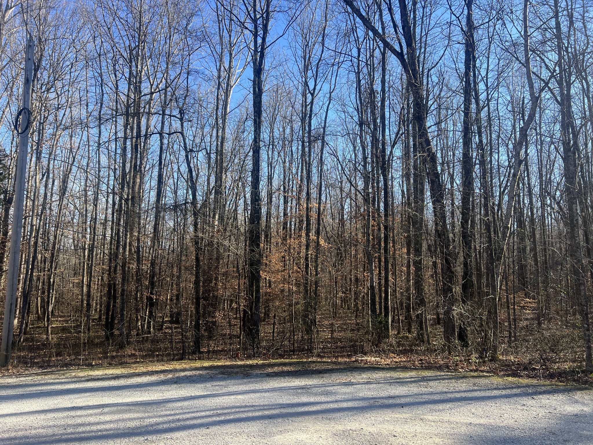 0 Excalibur Trail Cedar Grove TN 38321