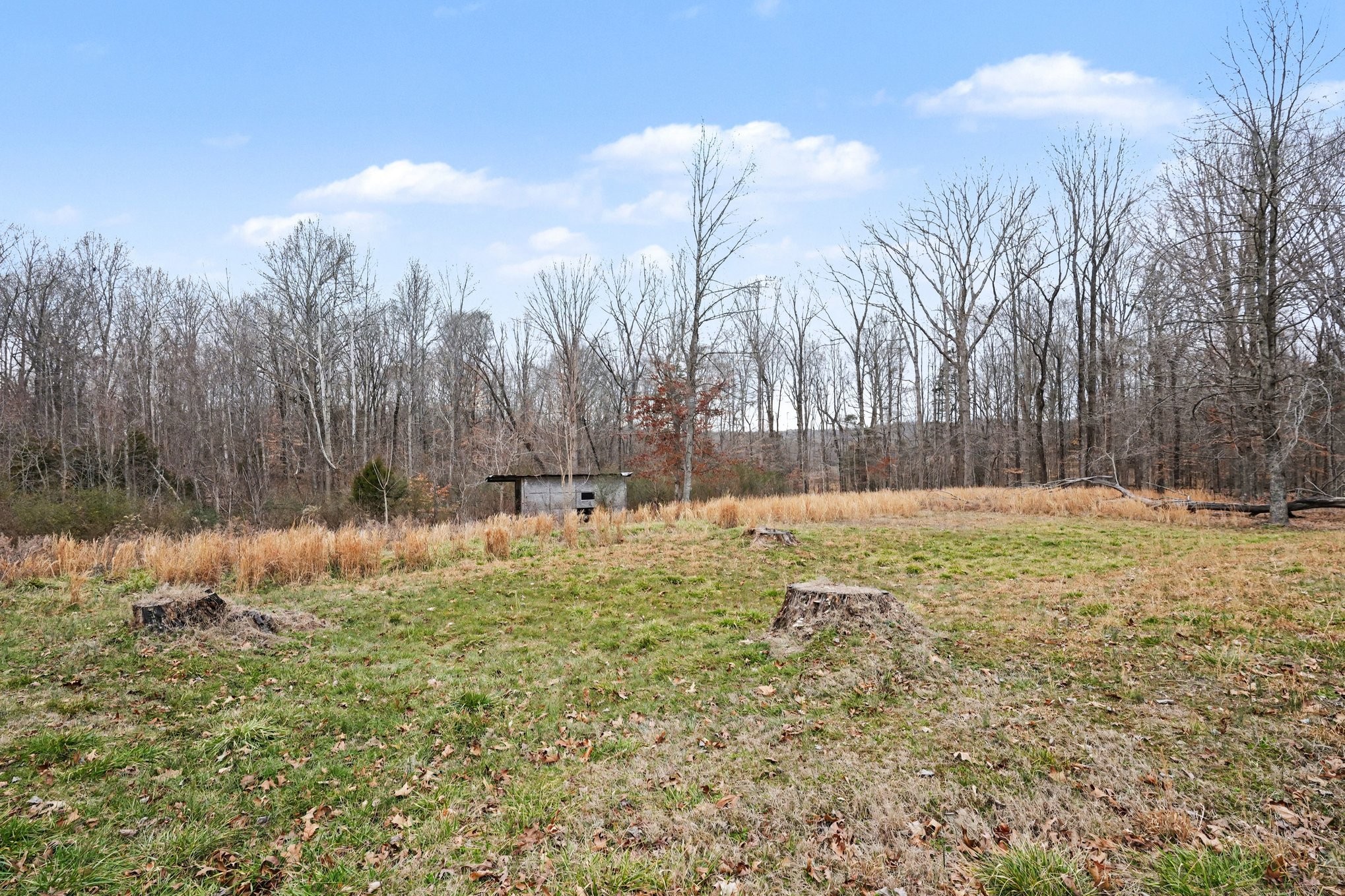 1323 Old Stage Road Charlotte TN 37036