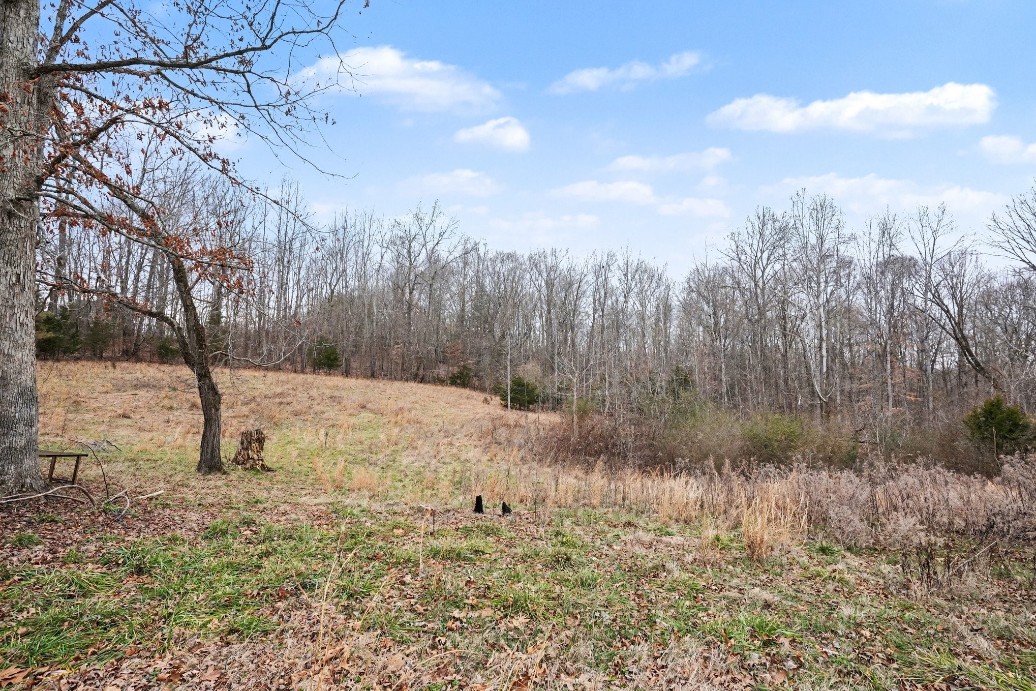 1323 Old Stage Road Charlotte TN 37036