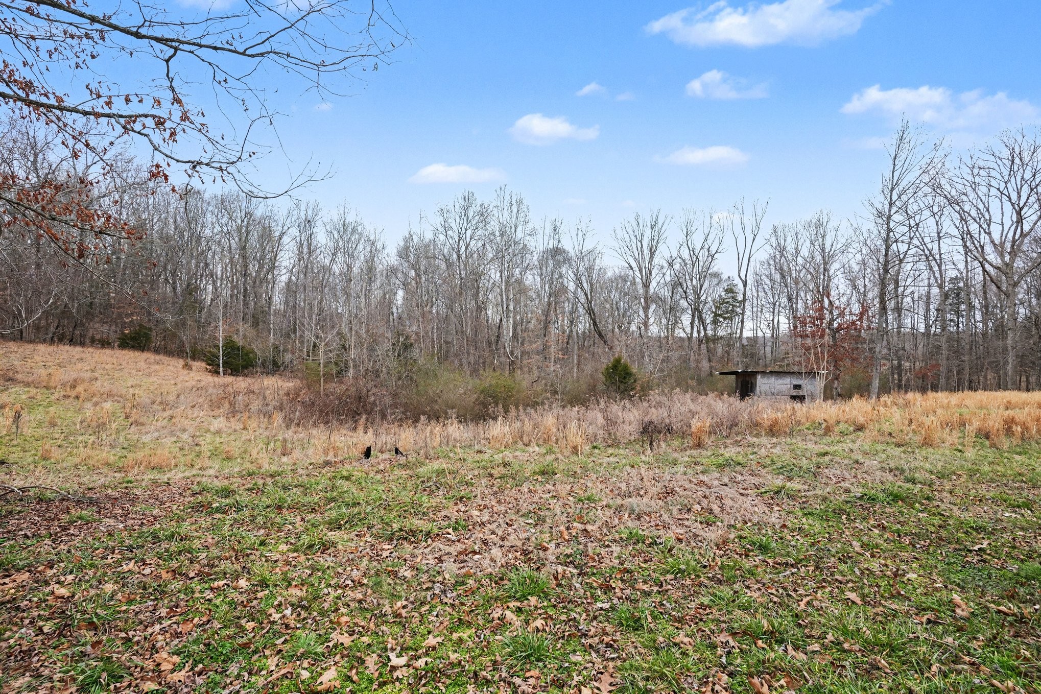 1323 Old Stage Road Charlotte TN 37036