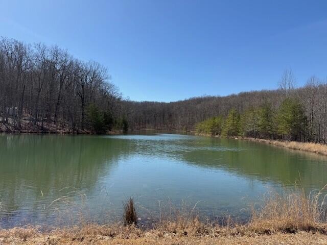 71 Sunbeam Lake Loop Road Dunlap TN 37327