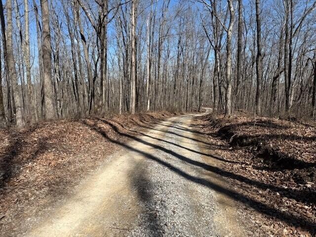 71 Sunbeam Lake Loop Road Dunlap TN 37327