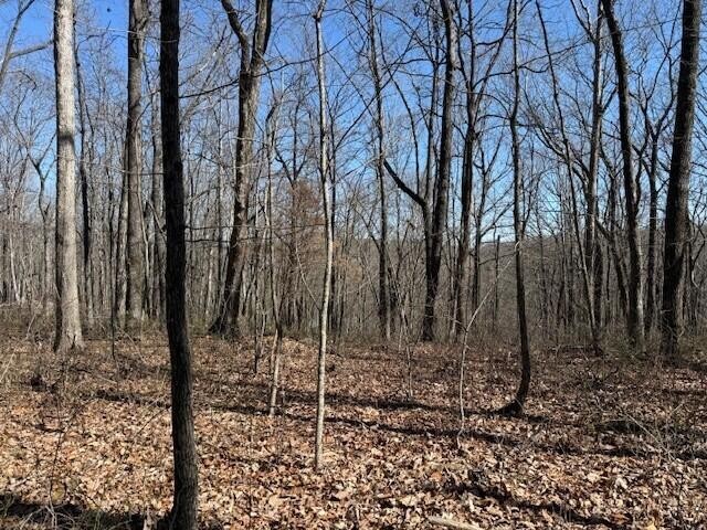 71 Sunbeam Lake Loop Road Dunlap TN 37327
