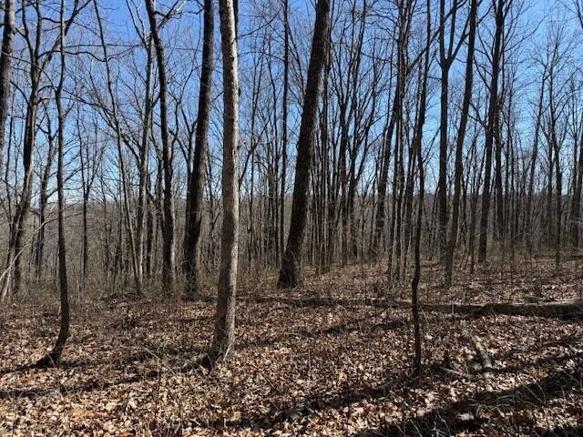 71 Sunbeam Lake Loop Road Dunlap TN 37327