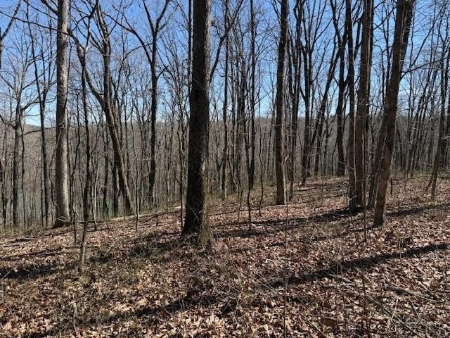 71 Sunbeam Lake Loop Road Dunlap TN 37327