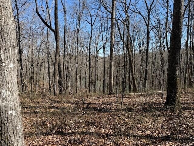 71 Sunbeam Lake Loop Road Dunlap TN 37327