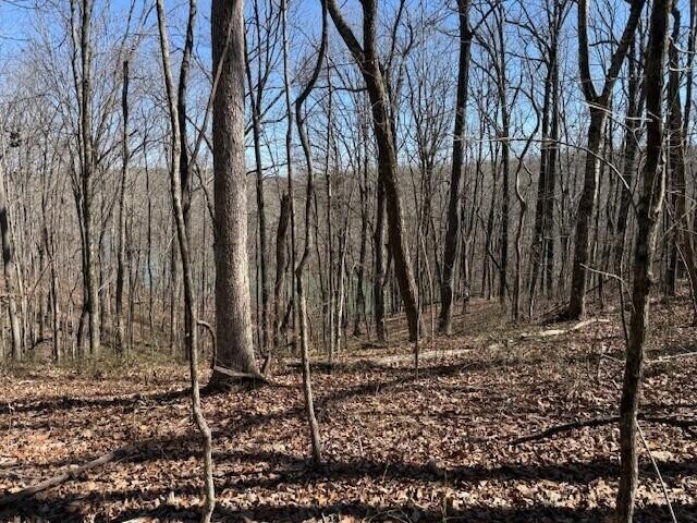 71 Sunbeam Lake Loop Road Dunlap TN 37327