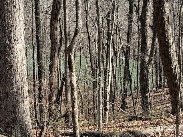 71 Sunbeam Lake Loop Road Dunlap TN 37327