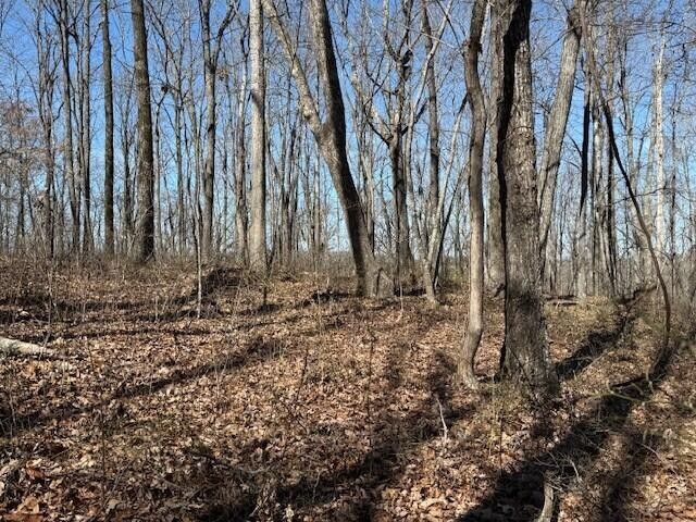 71 Sunbeam Lake Loop Road Dunlap TN 37327