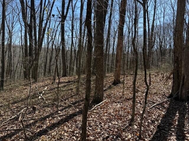 71 Sunbeam Lake Loop Road Dunlap TN 37327