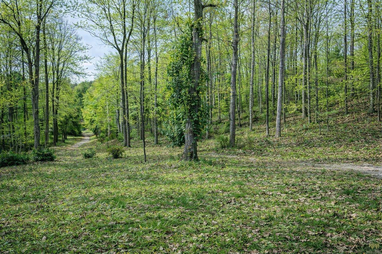 1135 Mink Branch Road Waynesboro TN 38485