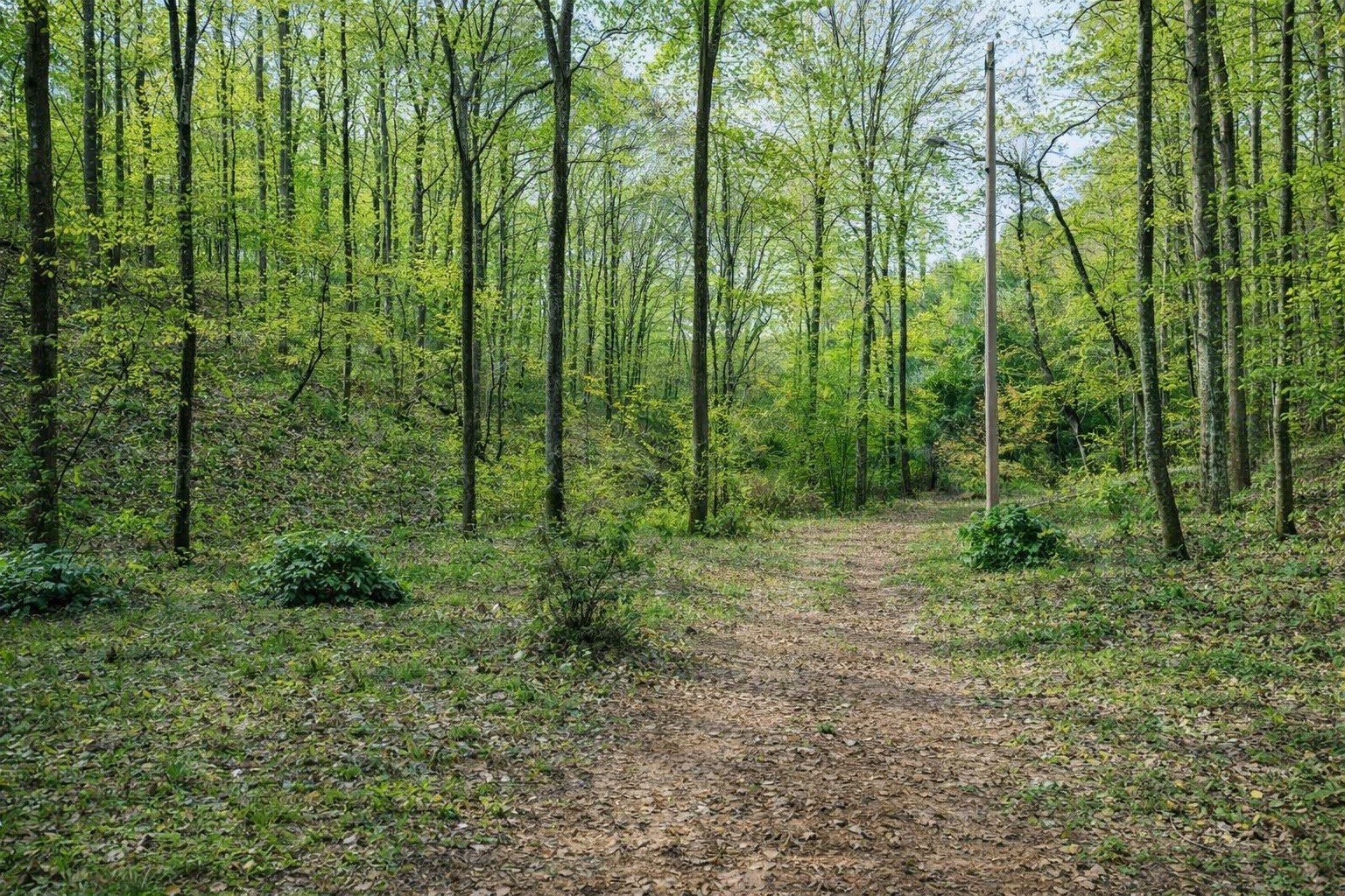 1135 Mink Branch Road Waynesboro TN 38485