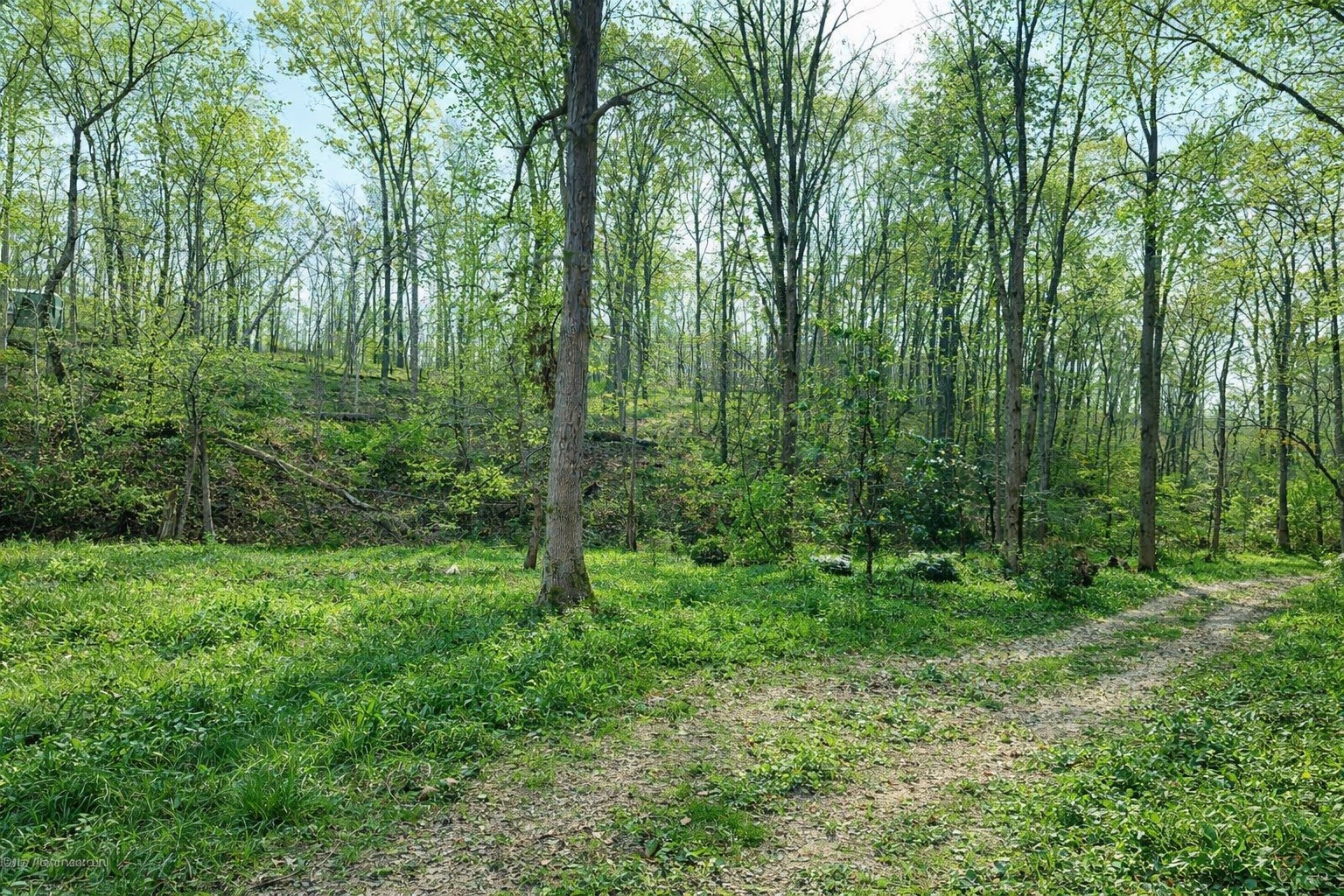 1135 Mink Branch Road Waynesboro TN 38485