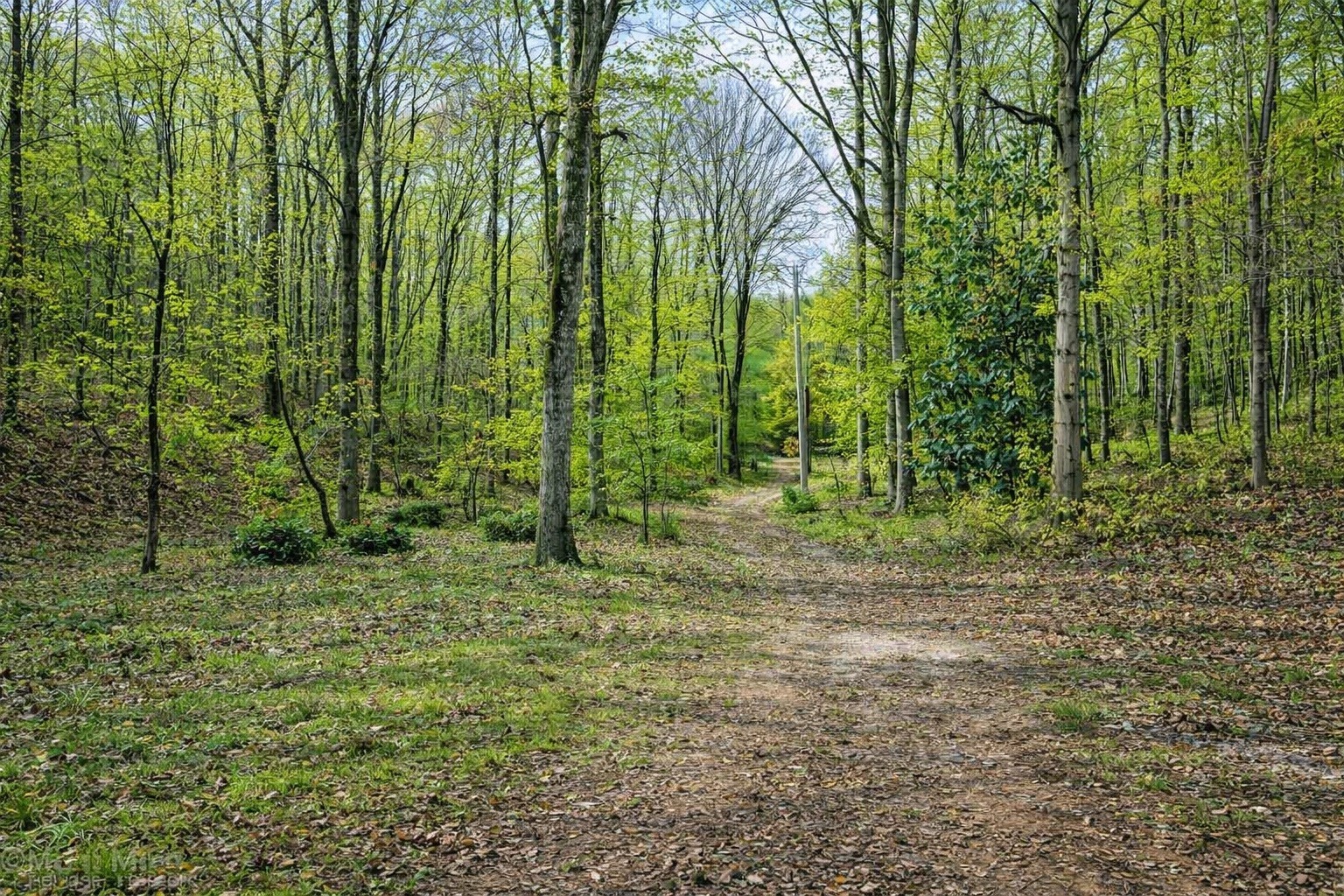 1135 Mink Branch Road Waynesboro TN 38485