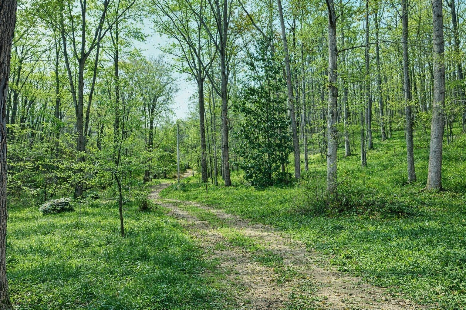 1135 Mink Branch Road Waynesboro TN 38485