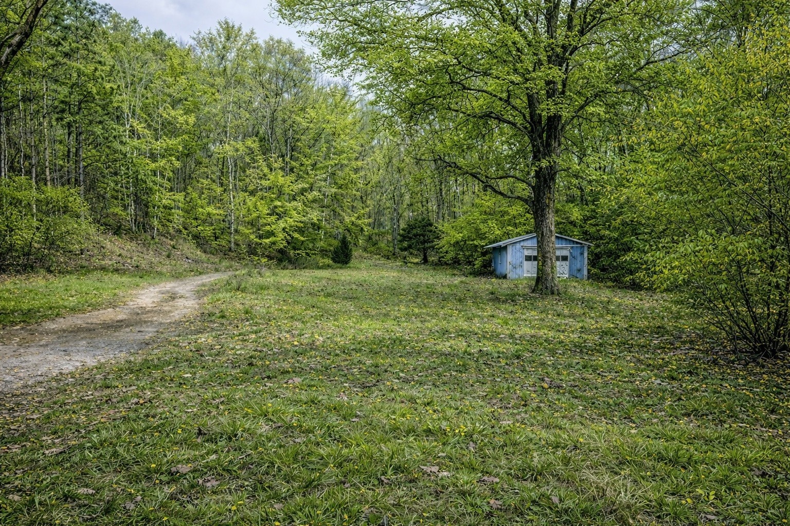 1135 Mink Branch Road Waynesboro TN 38485