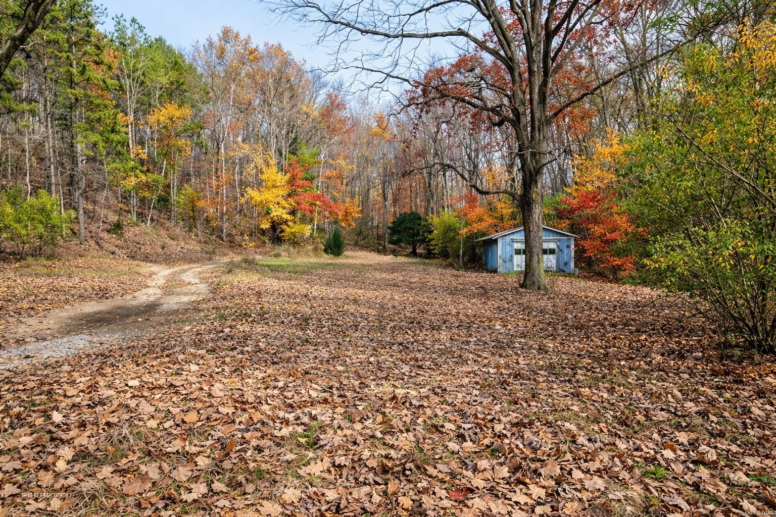 1135 Mink Branch Road Waynesboro TN 38485