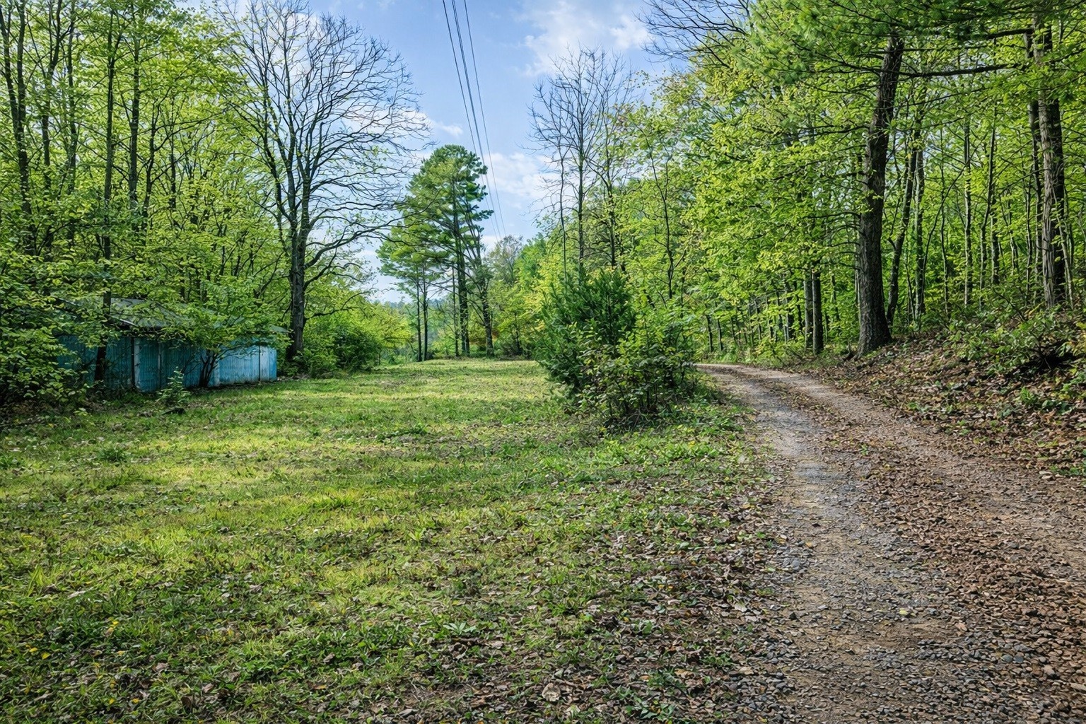 1135 Mink Branch Road Waynesboro TN 38485