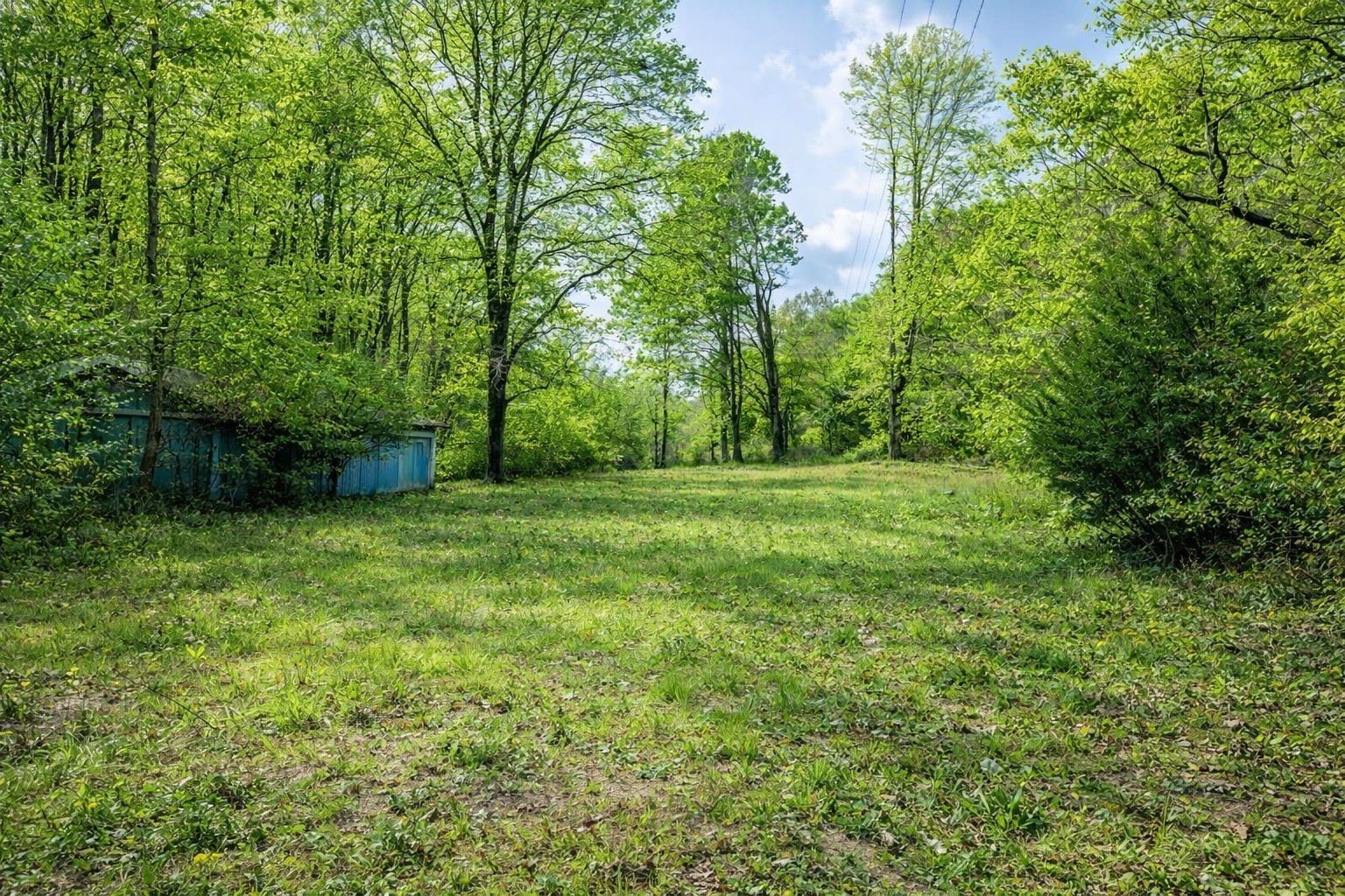 1135 Mink Branch Road Waynesboro TN 38485