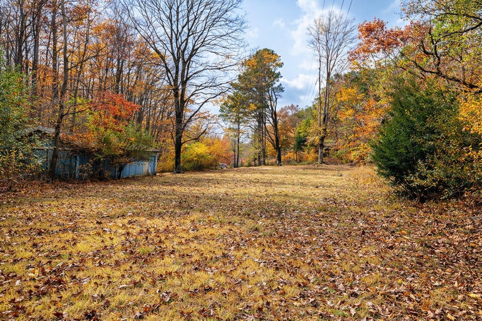 1135 Mink Branch Road Waynesboro TN 38485