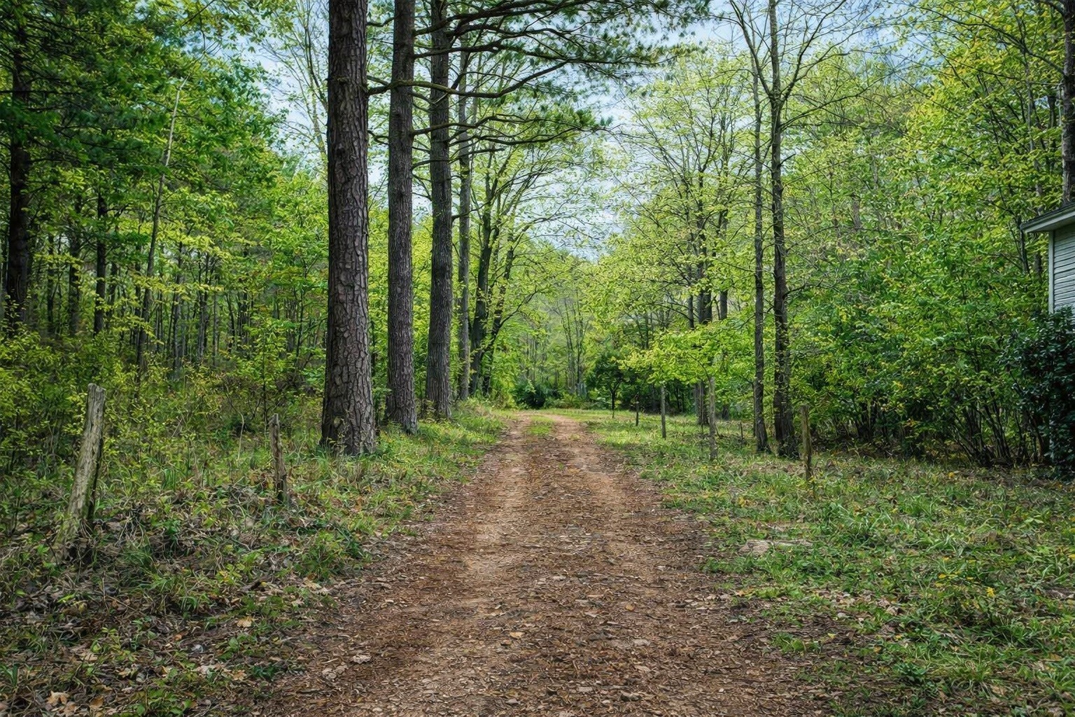 1135 Mink Branch Road Waynesboro TN 38485