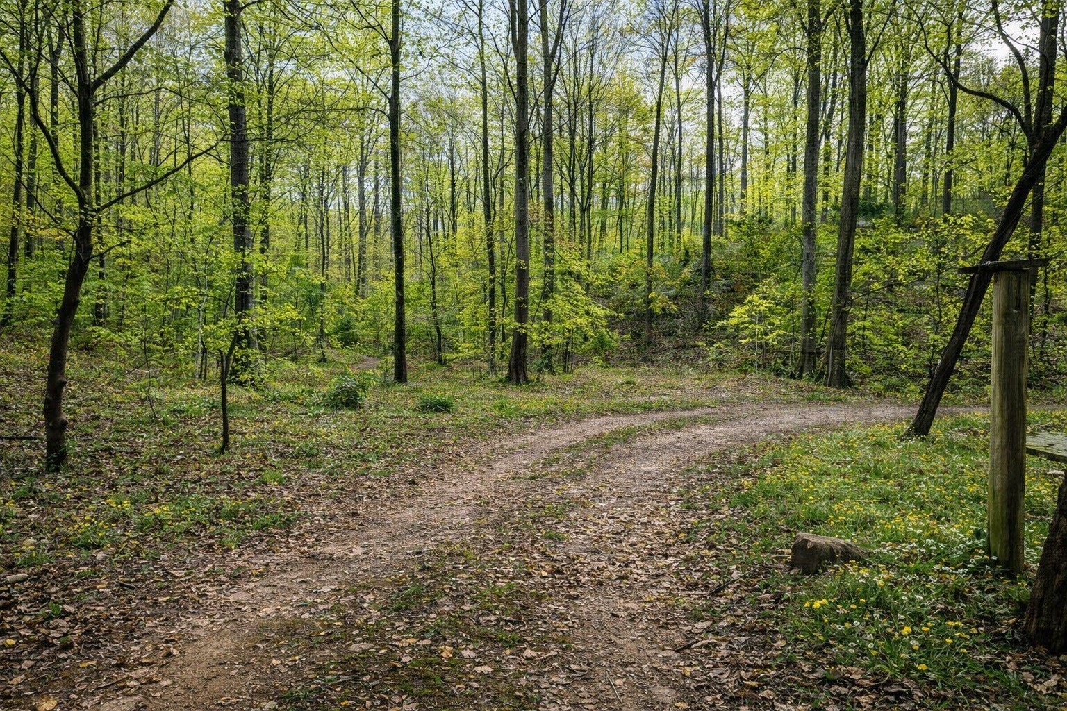 1135 Mink Branch Road Waynesboro TN 38485