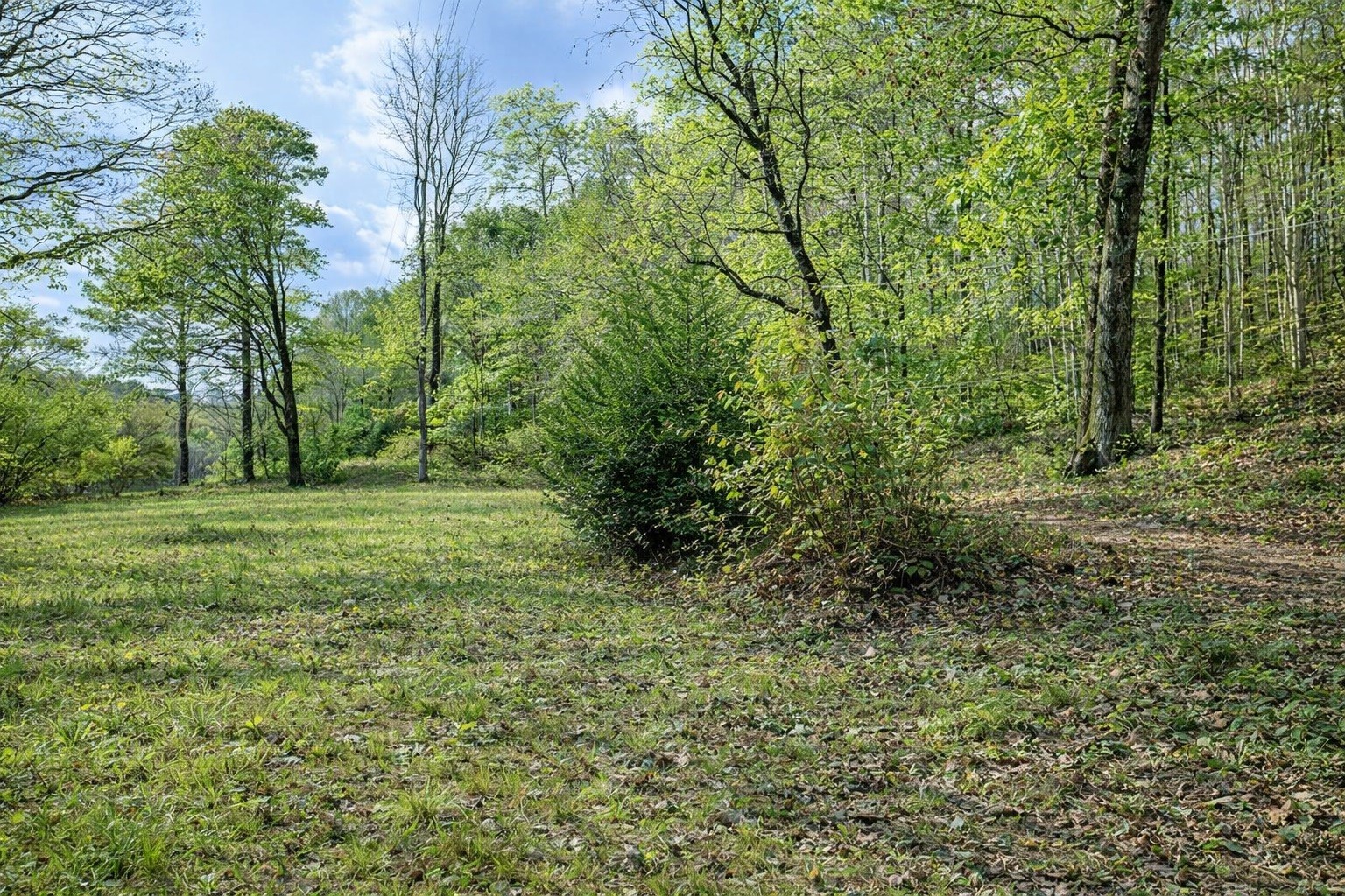 1135 Mink Branch Road Waynesboro TN 38485