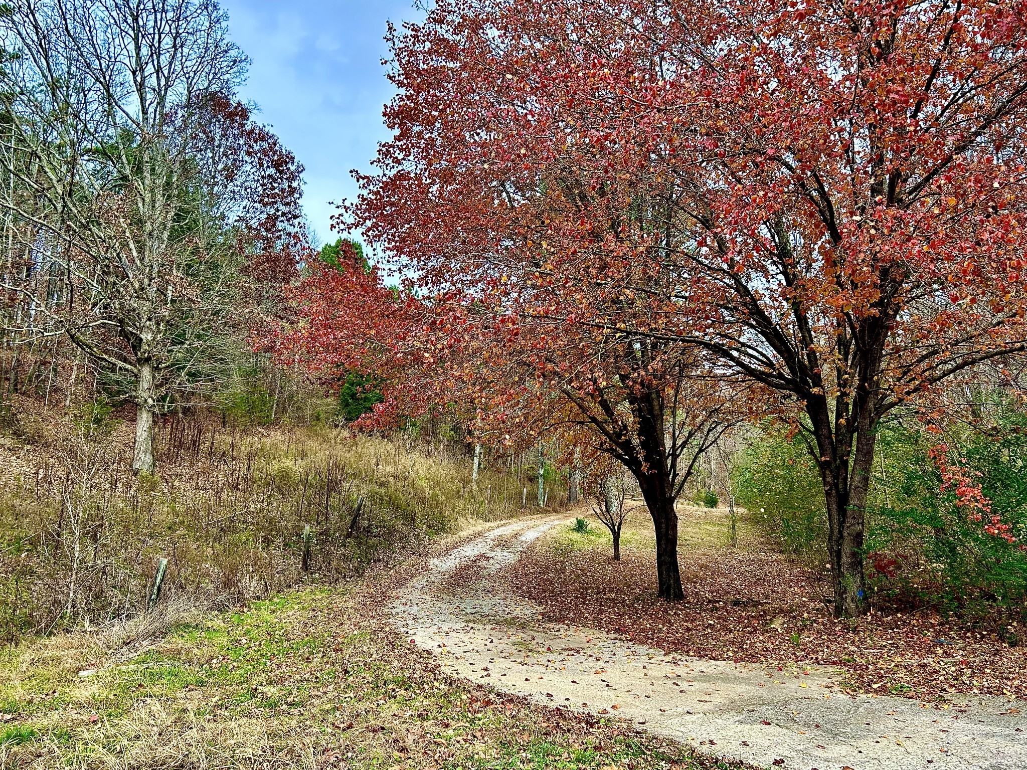 1135 Mink Branch Road Waynesboro TN 38485